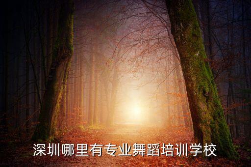 深圳哪里有专业舞蹈培训学校