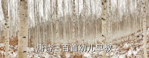 婴儿启蒙早教诗歌视频，幼儿古诗三百首朗诵
