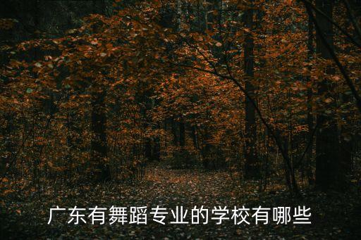 广东有舞蹈专业的学校有哪些