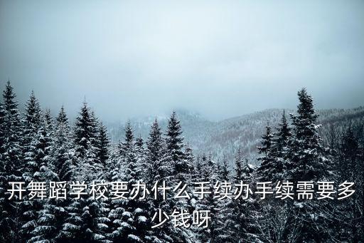 办舞蹈班需要什么手续，我开舞蹈班都需要什么手续啊开的爵士舞蹈班不太大地方  搜