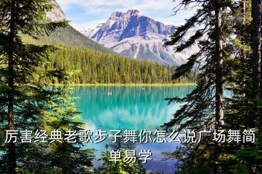 简单易学的糖豆广场舞，厉害经典老歌步子舞你怎么说广场舞简单易学