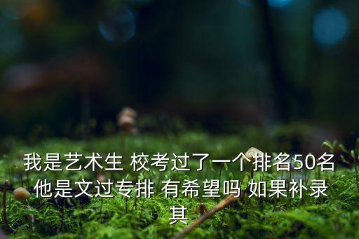 我是艺术生 校考过了一个排名50名 他是文过专排 有希望吗 如果补录其