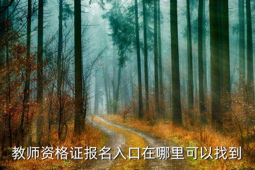 成人教师资格证报名入口，教师资格证报名入口在哪里可以找到