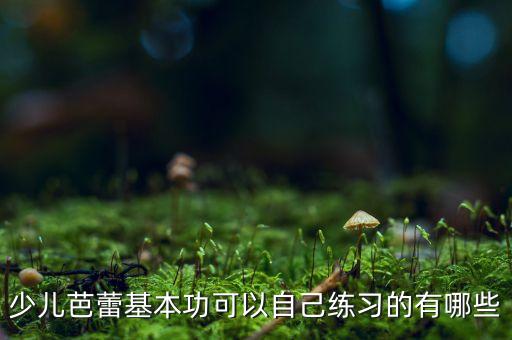 少儿芭蕾基本功可以自己练习的有哪些