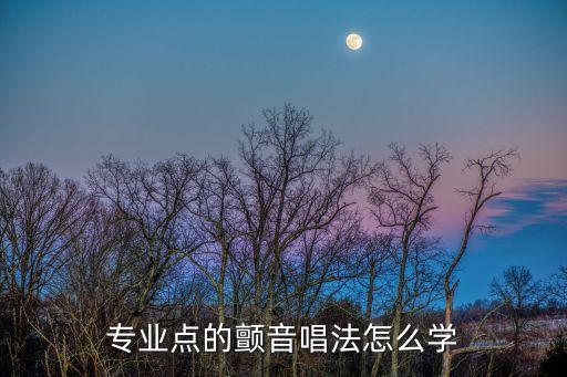 专业点的颤音唱法怎么学