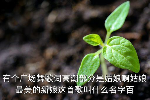 三友矿山广场舞爱的天堂，爱的天堂歌词