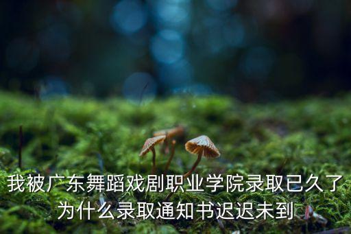 广东舞蹈戏剧职业学院招生办，广东舞蹈戏剧职业学院2016年佛山校区招初中毕业生吗