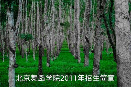 北京舞蹈学院2011年招生简章