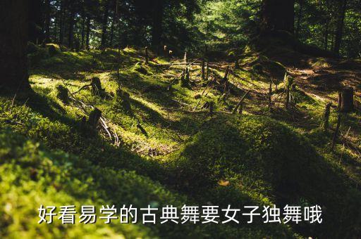 好看易学的古典舞要女子独舞哦