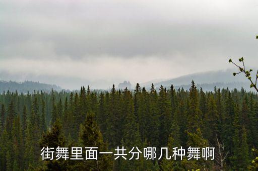 街舞里面一共分哪几种舞啊