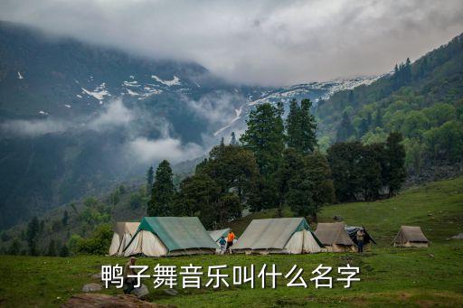 鸭子舞的歌名是什么，徐州英伦鸭子舞的歌叫什么