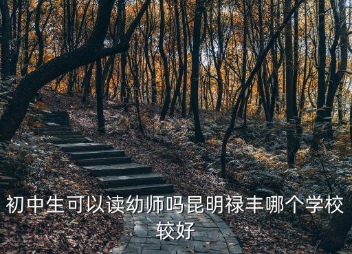 初中生可以读幼师吗昆明禄丰哪个学校较好