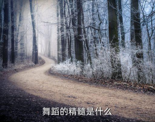 舞蹈的精髓是什么