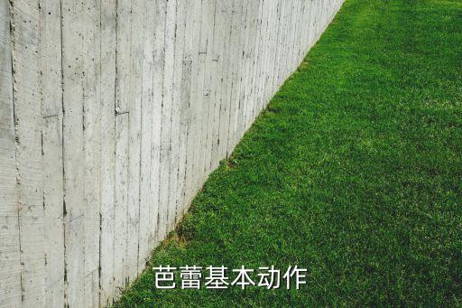 芭蕾基本动作