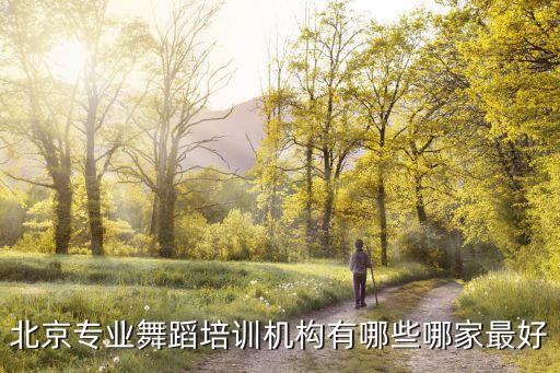 北京专业舞蹈培训机构有哪些哪家最好