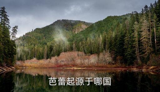 芭蕾起源于哪国