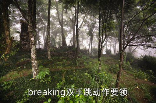 breaking双手跳动作要领