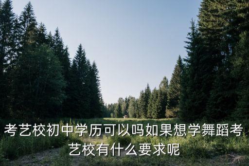 初三艺考舞蹈具体要什么要求，舞蹈艺考对外在比如视力皮肤身高等有什么要求吗