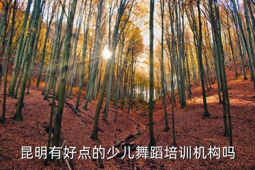 昆明有好点的少儿舞蹈培训机构吗