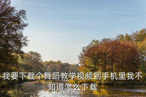 中国美视频舞蹈教学视频怎么下载地址，我想学跳舞想下载教学视频怎么下载到那里下载