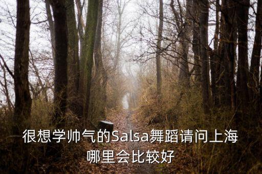 很想学帅气的Salsa舞蹈请问上海哪里会比较好