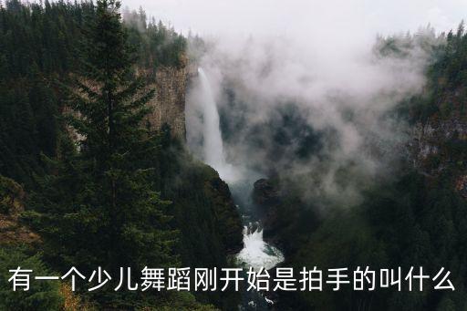 有一个少儿舞蹈刚开始是拍手的叫什么