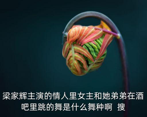 梁家辉主演的情人里女主和她弟弟在酒吧里跳的舞是什么舞种啊  搜