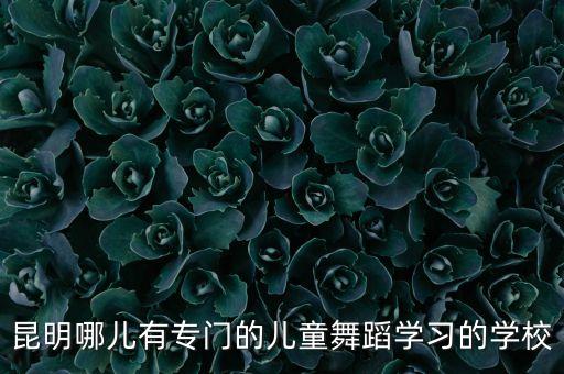 幼儿舞蹈培训机构，昆明有好点的少儿舞蹈培训机构吗