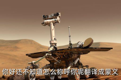 你好还不知道怎么称呼你呢翻译成蒙文