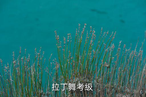拉丁舞考级