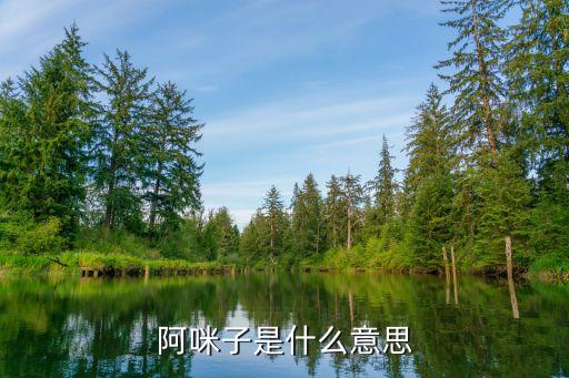 阿咪子是什么意思
