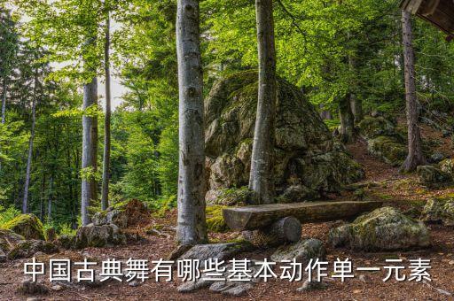 中国古典舞有哪些基本动作单一元素