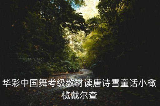 华彩中国舞四级全部教材，华彩中国舞考级教材读唐诗雪童话小橄榄戴尔查