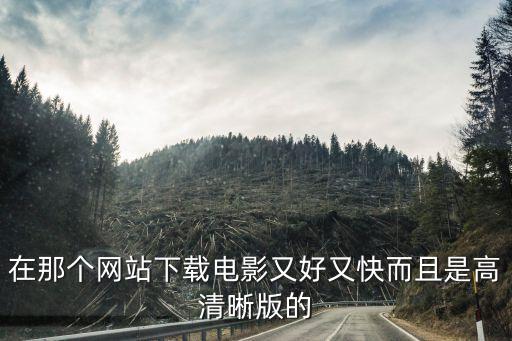 在那个网站下载电影又好又快而且是高清晰版的
