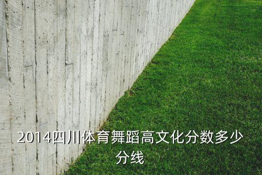 2014四川体育舞蹈高文化分数多少分线