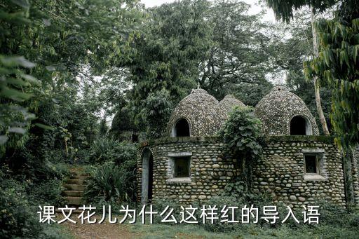 花儿为什么这样红的教案，花儿为什么这样红 教案