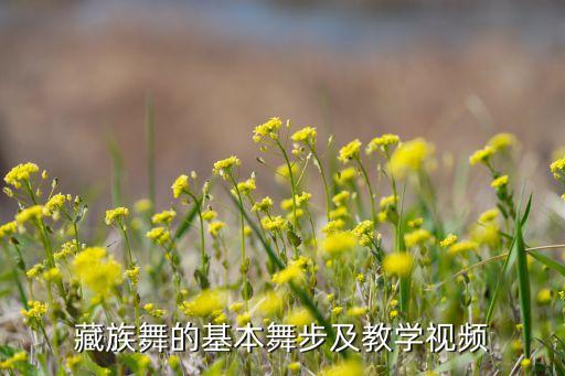牡丹汗舞蹈视频教学，李俊基舞蹈教程