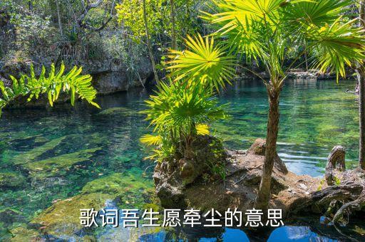 吾生原 牵尘是什么歌，歌词吾生愿牵尘的意思