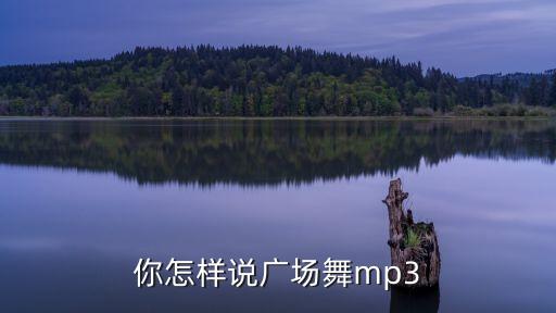 你怎么说广场舞 音乐下载，你怎样说广场舞mp3