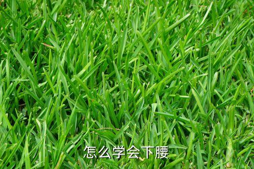 怎么学会下腰