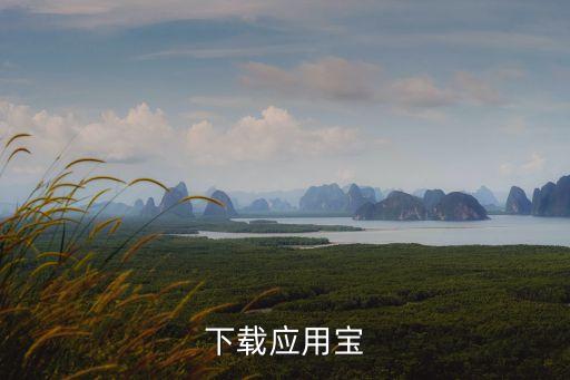 下载糖豆广场舞下载，下载应用宝