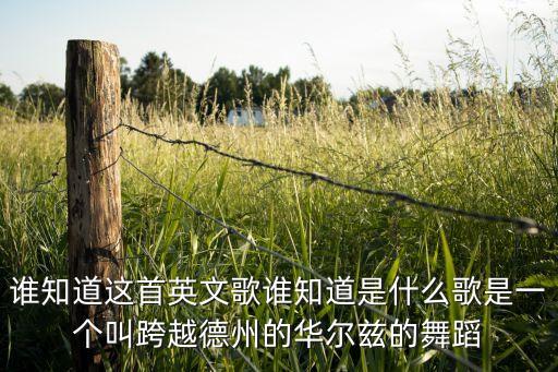 谁知道这首英文歌谁知道是什么歌是一个叫跨越德州的华尔兹的舞蹈