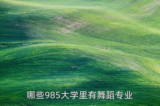 舞蹈专业的综合类大学，我学舞蹈想考综合类大学都能考那些大学