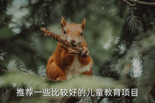 推荐一些比较好的儿童教育项目