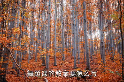 舞蹈课的教案要怎么写