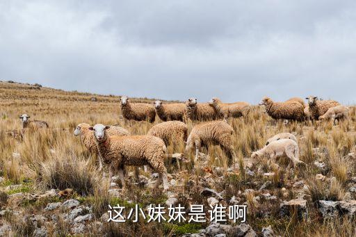 这小妹妹是谁啊