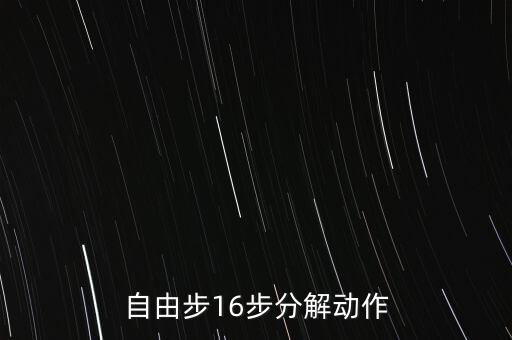 自由步16步分解动作