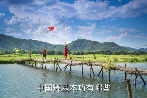 古典舞蹈基础训练基本功，中国古典舞舞蹈基本动作