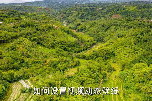视频动态背景素材，如何设置视频动态壁纸