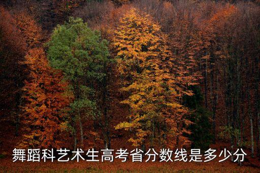 舞蹈科艺术生高考省分数线是多少分